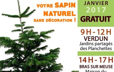 Opération Broyage de sapins GRATUIT